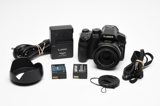 Panasonic DMC-FZ300 12.1MP Digital Point&Shoot 4K, 2Batts, Hood, Great!