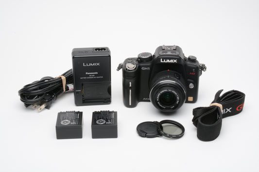 Panasonic Lumix DMC-GH1 w/Olympus 14-42mm f3.5-5.6 IIR MRC, 2batts, charger, pola