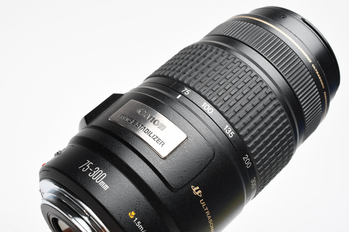 Canon EF 75-300mm f4-5.6 IS USM zoom lens, Caps, Hood, Great!