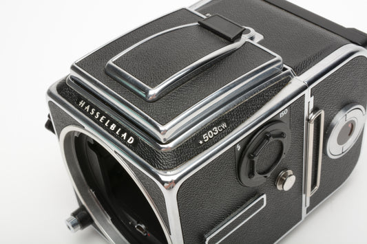 Hasselblad ISO 3200 *503CW Body w/A12 IV, Acute D, WLF, Mint-