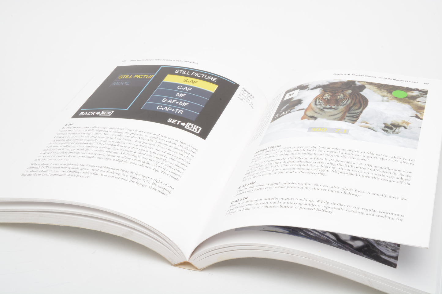 Olympus Pen E-P2 book by Busch - Simon, Clean