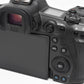 Canon EOS R5 Mirrorless body, batt+charger ≤25,000 Acts, Clean!