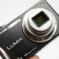 Panasonic Lumix DMC-FH24 16MP Digital Point&Shoot w/Leica lens, tested, great