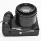 Panasonic Lumix DMC-FZ300 4K 12.1MP Digital Point&Shoot w/25-600mm Lens, Mint-