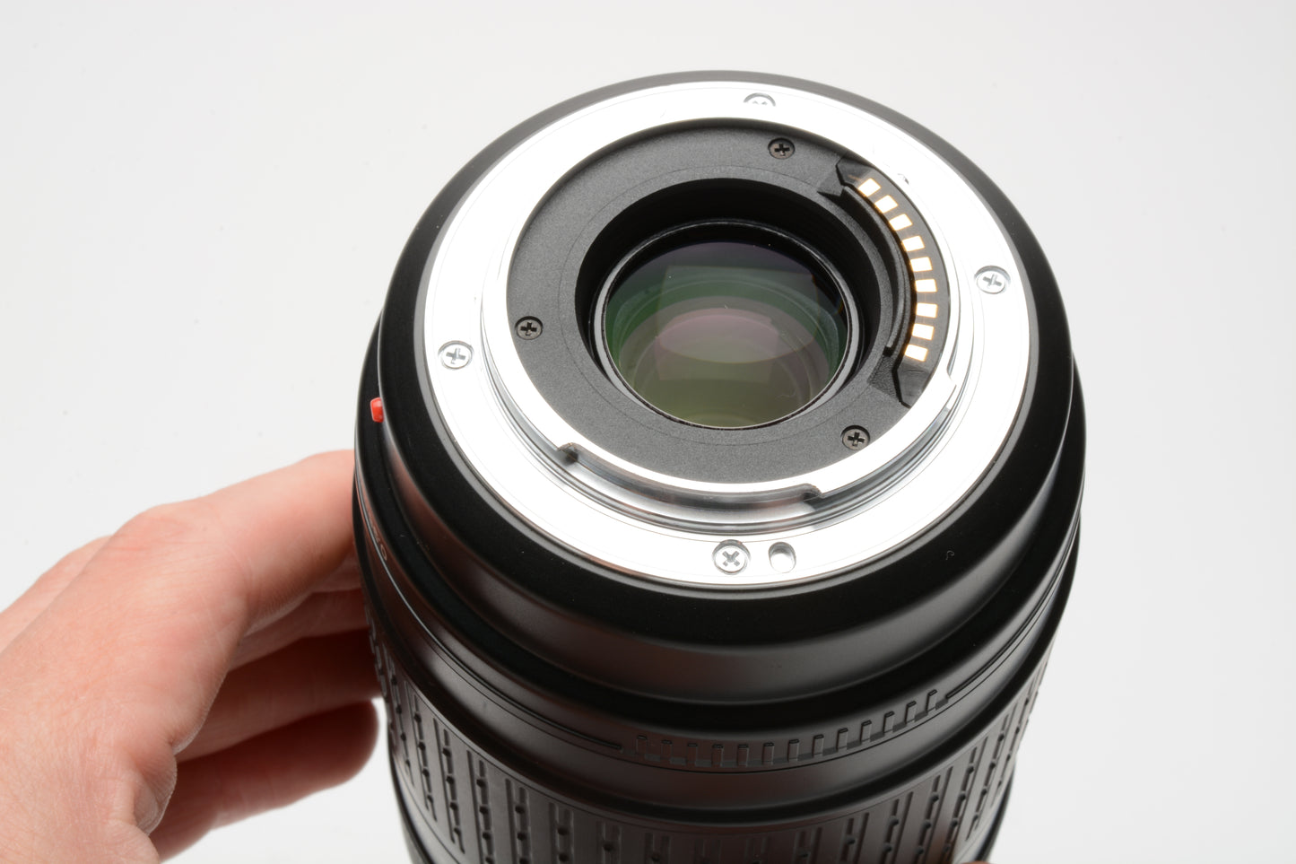 Olympus Zuiko Digital AF 70-300mm F4-5.6 ED w/hood, caps, UV, 4/3 Mount