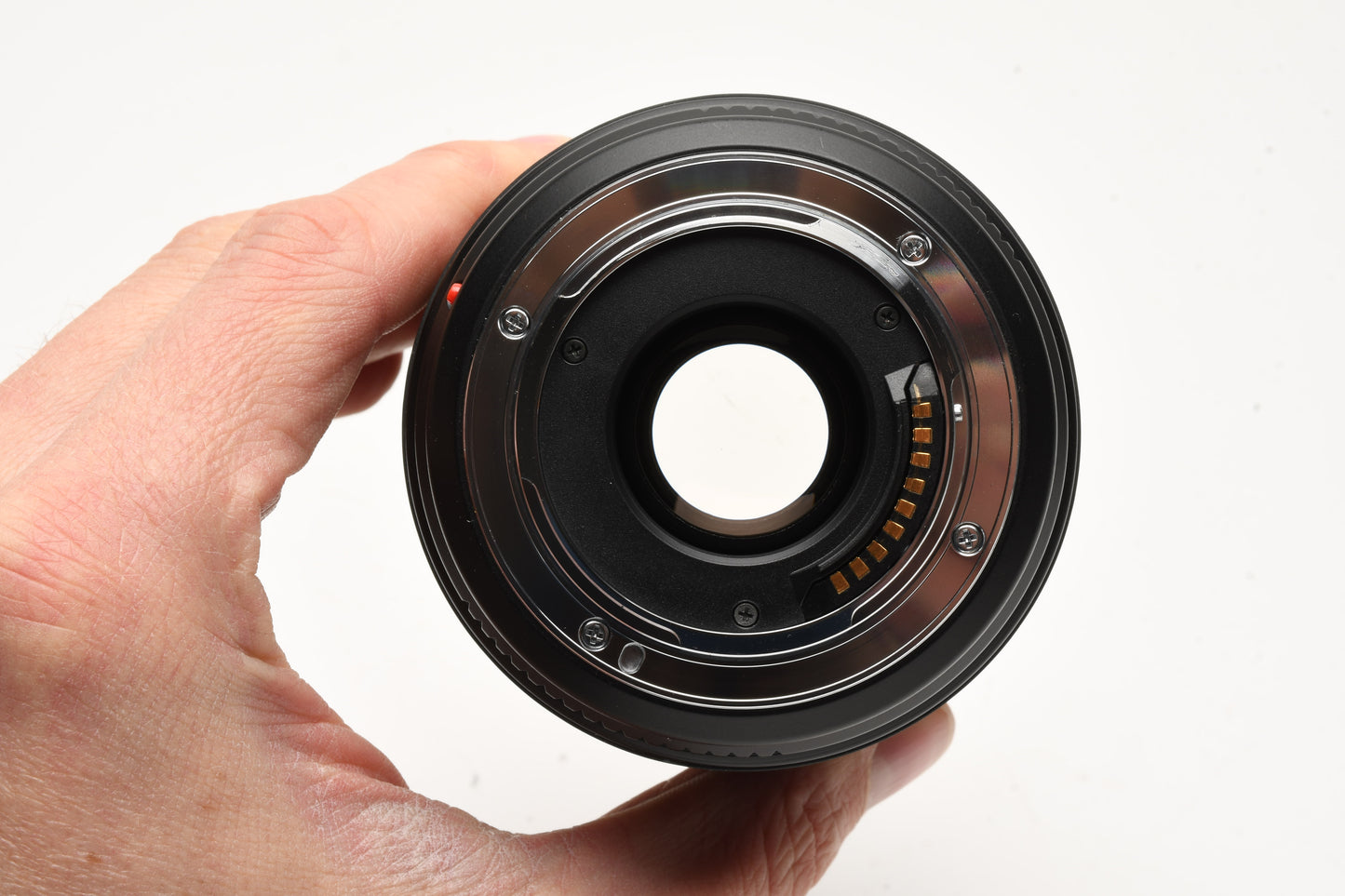 Olympus Zuiko 40-150mm f3.5-4.5 zoom lens, B+W UV, 4/3 Mount, Great