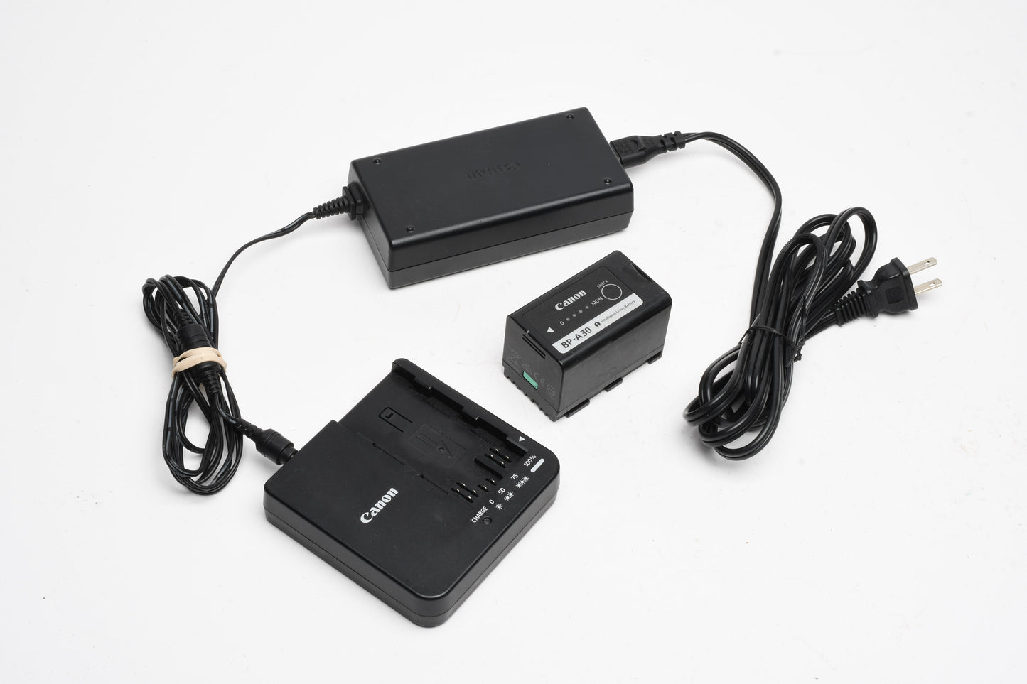 Canon CG-A20 battery charger w/ BP-A30 battery, great condition