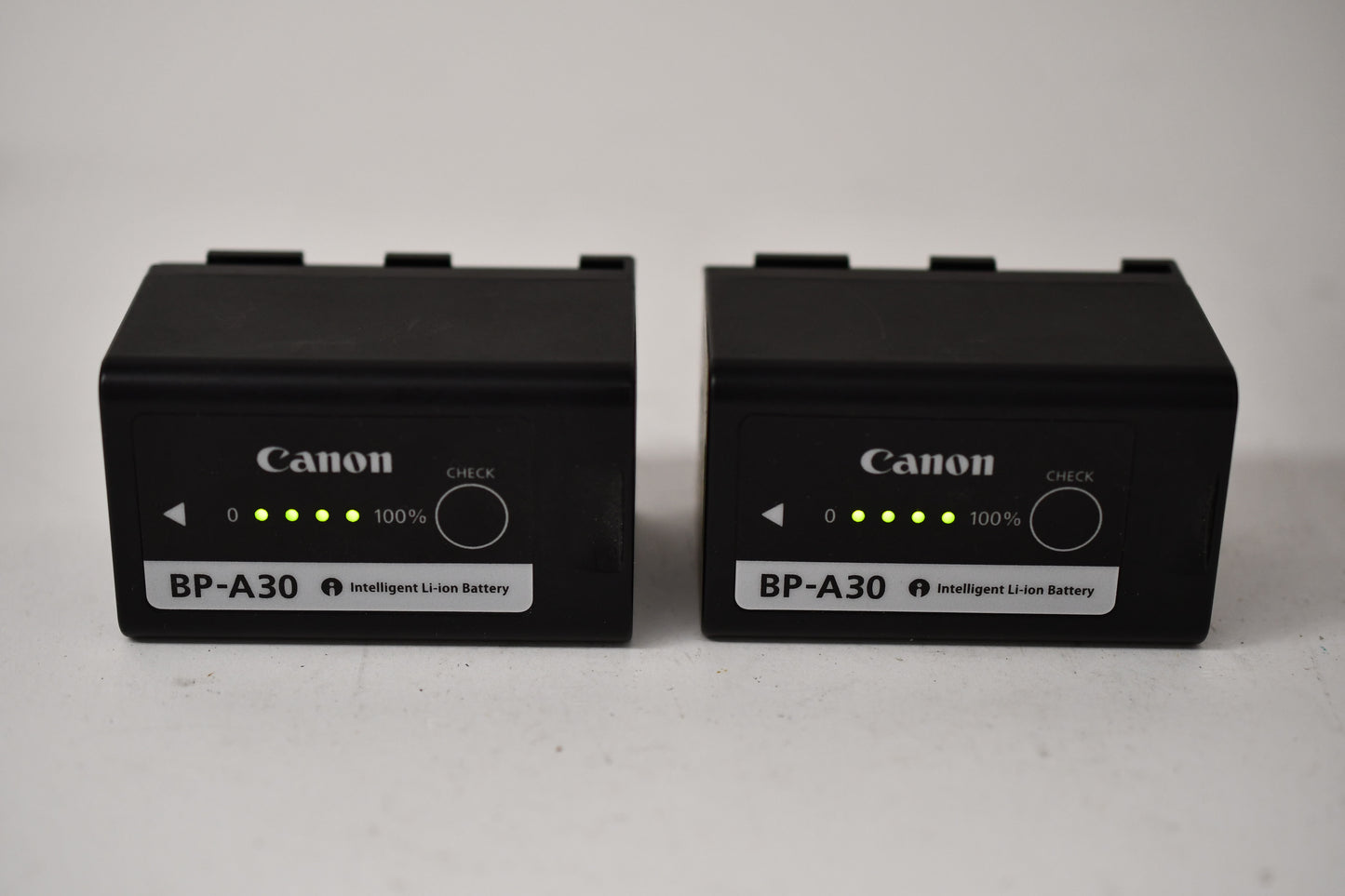 Canon CG-A10 dual battery charger w/ 2X BP-A30 batteries + power cord, great