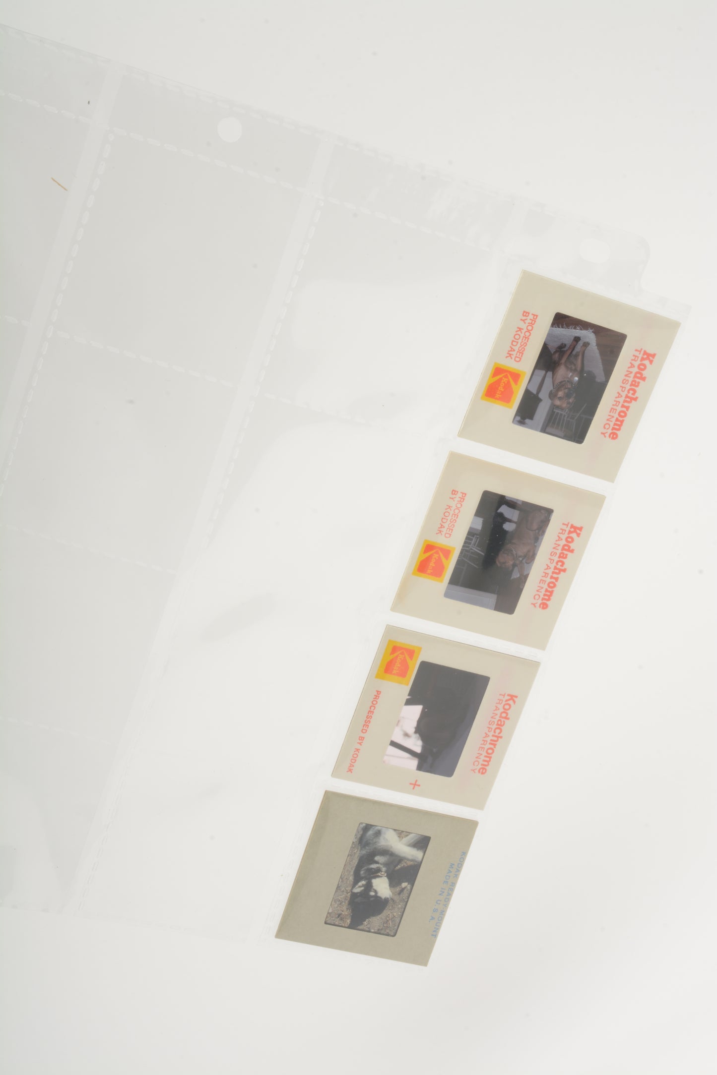 250X Rembrandt Archival sheets holds 20X 35mm slides, 3 hole perf, top loaded