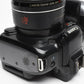 Canon Powershot SX10IS 10MP Digital Point&Shoot camera
