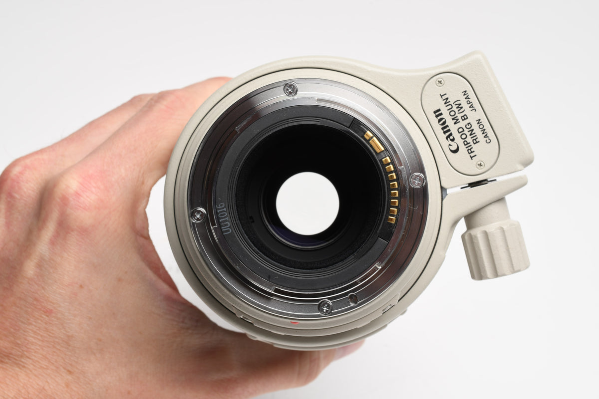 Canon EF 100-400mm f4.5-5.6L IS USM Zoom, collar, caps, hood, UV, Mint-