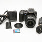 Olympus E-500 Evolt 8MP DSLR w/14-45mm, batt+charger+strap+ 6989 Acts!