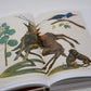 Cabinet of Natural Curiosities by Albertus Seba - Hard Cover