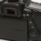 Canon EOS 80D DSLR Body, Batt+charger, Only 2824 Acts!!  Very clean