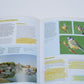 Digital Exposure Handbook by Ross hoddinott softcover