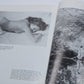 Nude Photography The French Way Hardcover book by Laurent Biancani