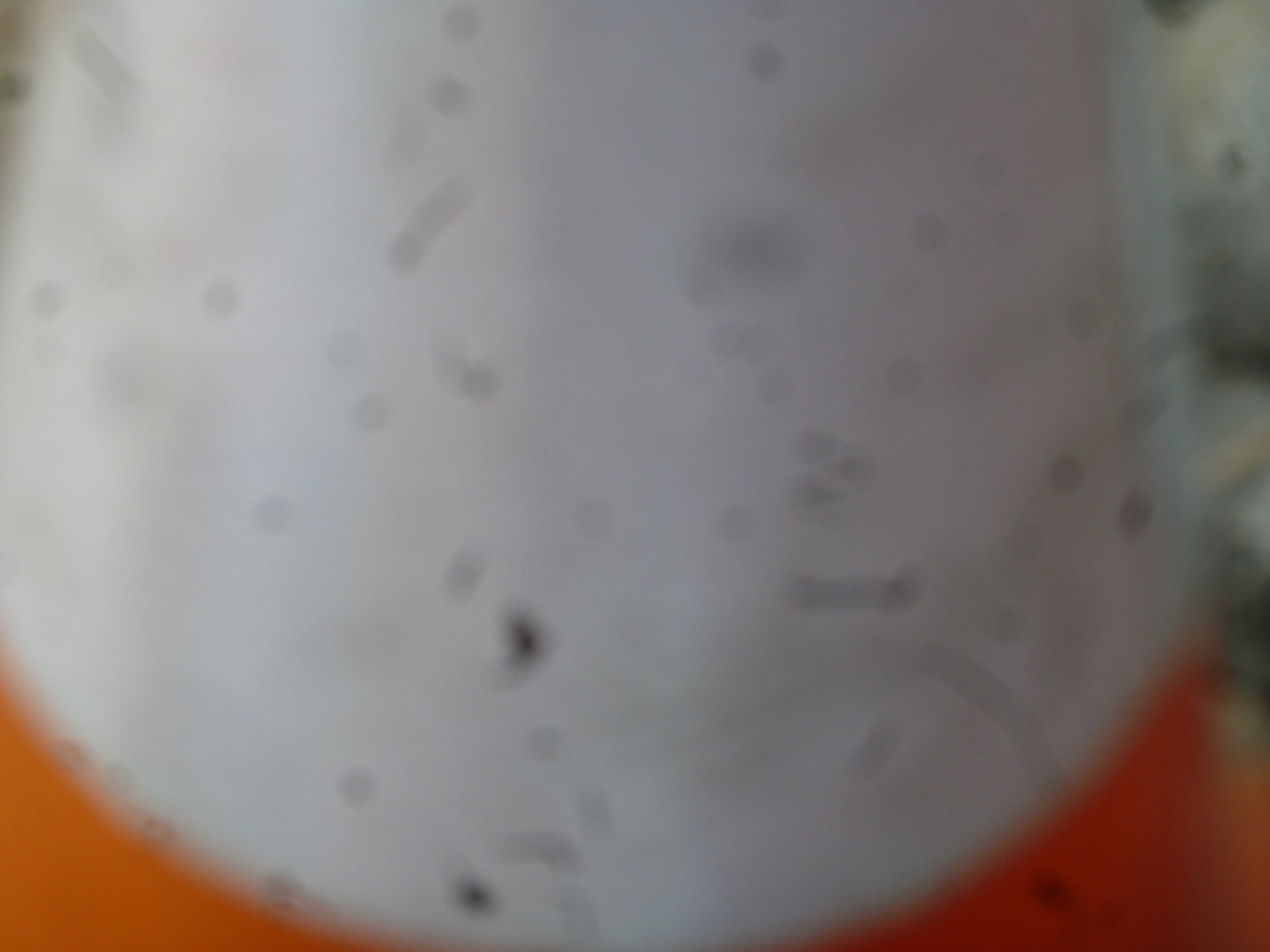 Panasonic Lumix ZS-8 14.1MP Digital Point&Shoot, Batt+charger+4GB SD Bargain